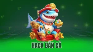 hack ban ca